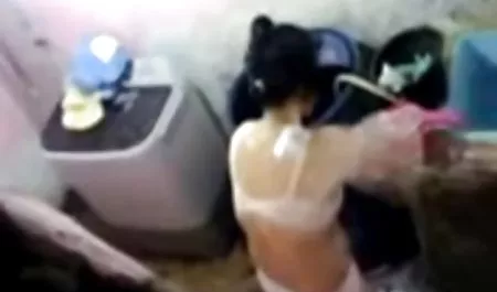 , یک کشاورز به نام خرید یک تلسکوپ کیروکس سکسی اما نه به