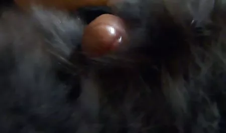 و شوهر سایت کس کون کاملا هیجان زده به لمس و نگه دارید